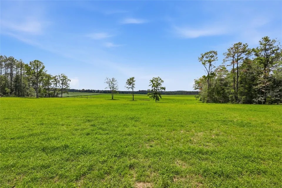 254th Ln Lot 19 Alachua FL 32615 - Img17-w960_h720.jpg